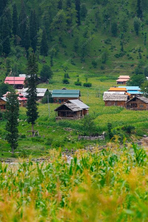 Premium Photo | Beautiful valley of kashmir landscape of pakistan