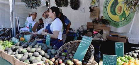 Avocado Festival Booth Sign Up Online Eden Nessie