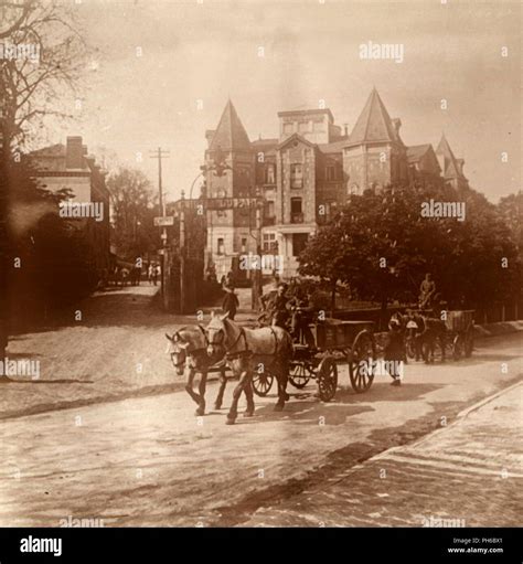 Horse Drawn Ambulance Belgium C1914 C1918 Artist Unknown Stock