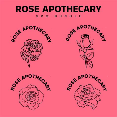 Rose Outline Svg Designs Masterbundles