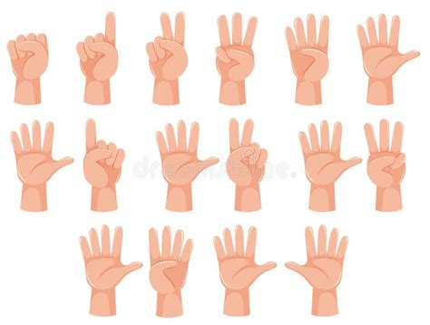 Human Hand And Number Gesture Stock Vector Illustration Of Palm