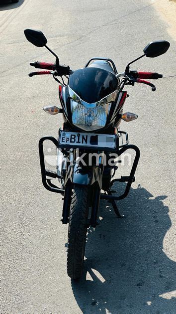 Honda Cb Shine Black 2020 For Sale In Akkarepattu Ikman