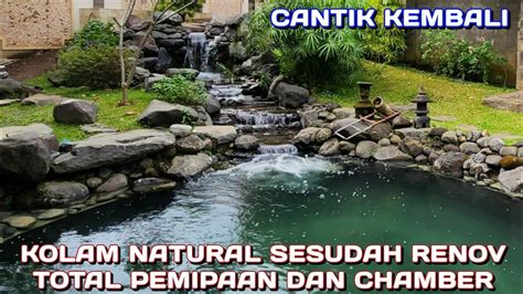 Renov Total Pemipaan Dan Chamber Sama Juga Buat Baru Kolam Ikan