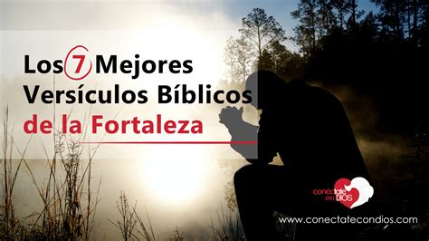 Los 7 Mejores Versículos Bíblicos De La Fortaleza Conéctate Con Dios