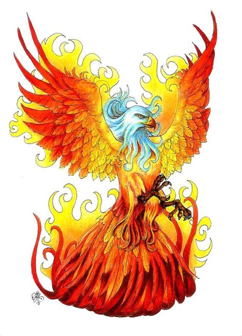 21 Mind Blowing Phoenix Bird Art Drawings Free And Premium Templates