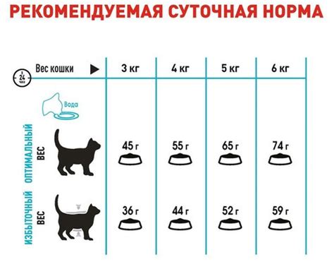 Royal Canin Urinary Care 2 кг — корм для кішок профілактика сечокам ...