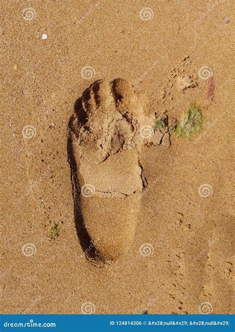 Male Footprint On The Sea Stock Photo Image Of Journey 124814306