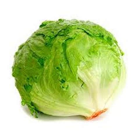 lechuga iceberg