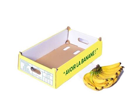 Boîtes en carton pour fruits et légumes imprimées ou neutres