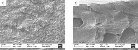 Sem Images Of The Fracture Surface Of A Opet Eba Gma And B