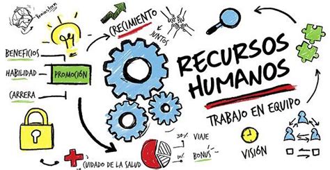 Todo Sobre La Carrera De Recursos Humanos