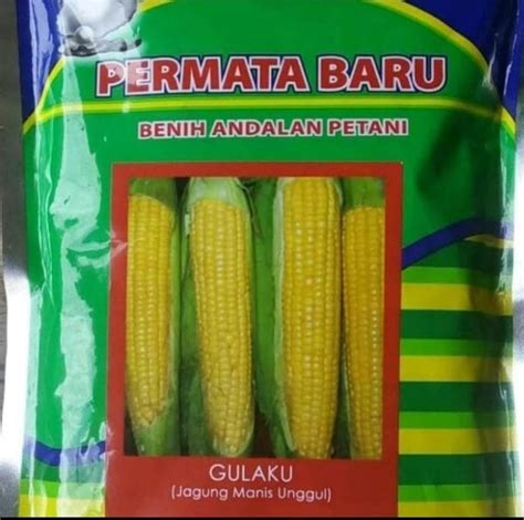 Jual Benih Bibit Jagung Manis Gulaku Gram Produk Permata Baru Di