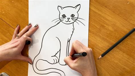 How To Draw A Beautiful Cat