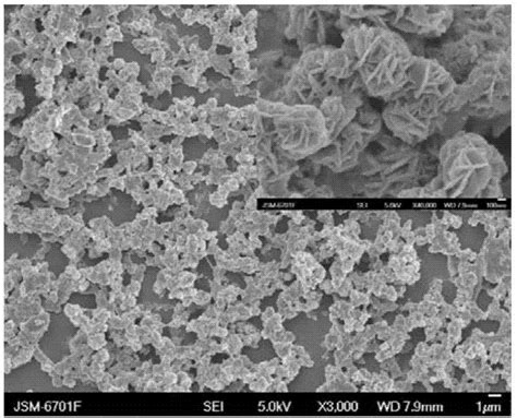 一种木质素基花状碳纳米材料及其制备方法和应用与流程