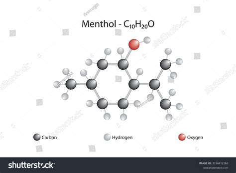 Molecular Formula Chemical Structure Menthol Stock Vector Royalty Free