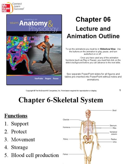 Anatomy Chapter 6 Quizlet Anatomical Charts And Posters