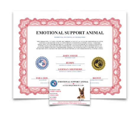 Service Dog Certificate Template 10 Word Templates For Trained Dogs