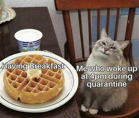 These Breakfast Memes Will Make Your Mouth Water The Truth About