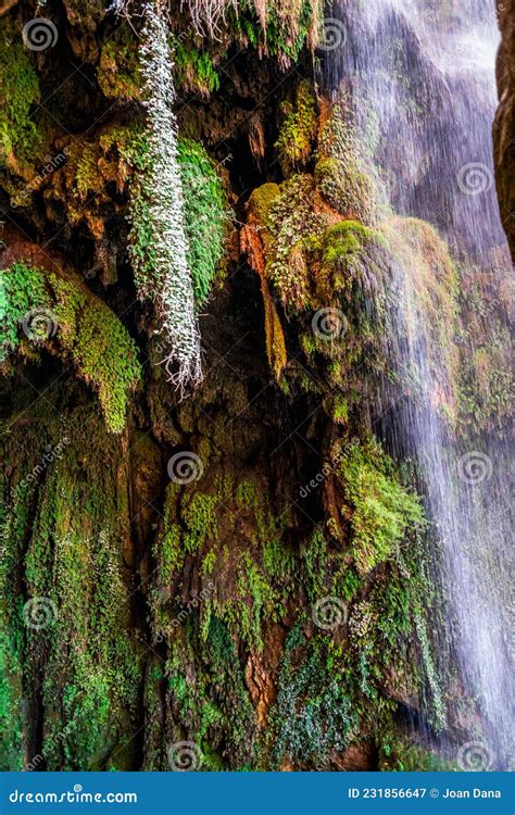 Monasterio De Piedra In The Natural Park Stock Photography ...