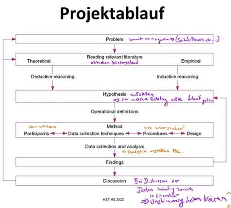 HST 9 Vorlesung Flashcards Quizlet