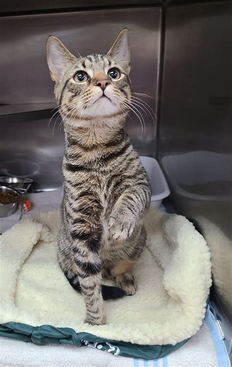 A massive new tech hub is planned for derwood maryland by 2028 5