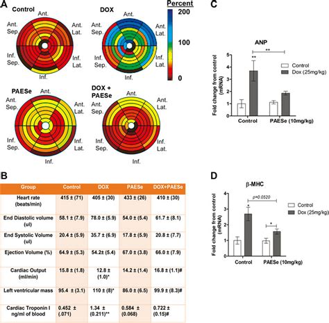 Frontiers The Cardioprotective Mechanism Of Phenylaminoethyl