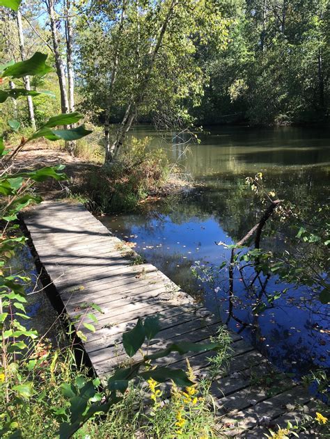 Hiking Lackawanna State Park Campgrounds Woodlands Ponds Trail Big