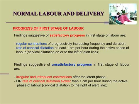 normal labour  delivery ppsx