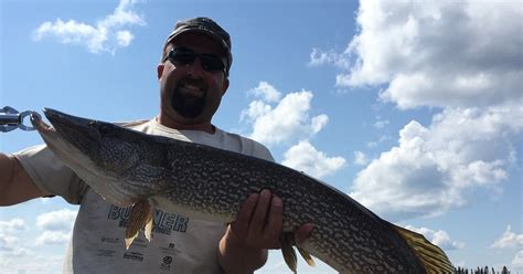 Big Hook News And Fishing Reports August Waters