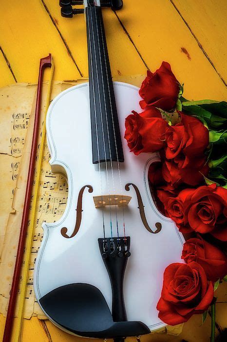 Pin By Janet L On Fine Art Photography Still Life Violin Violin Design Violin Art