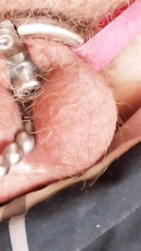 Rubbing My Chastity Clit With A Sounding Rod And Cumming Gay Amateur Amateur Porn XHamster