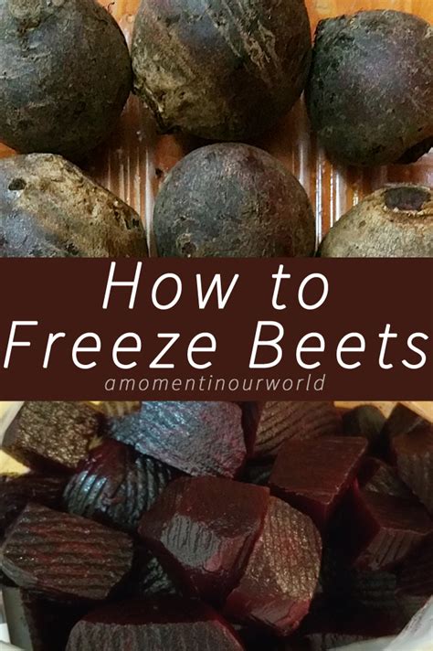 How To Freeze Beets A Moment In Our World