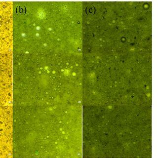 Photos of Pickering emulsion stabilized by three kinds of solid... | Download Scientific Diagram