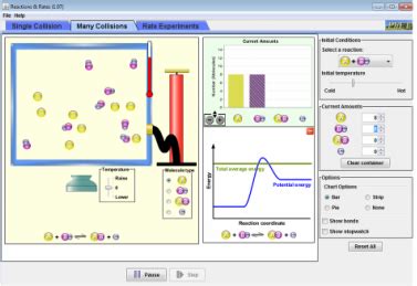 Unit Reaction Rates Ms Bunney S Classes