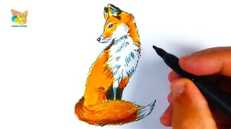 Comment Dessiner Un Renard Assis Youtube