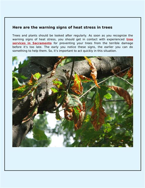 Ppt What Tips Should You Need To Reduce The Impact Of Heat Stress On