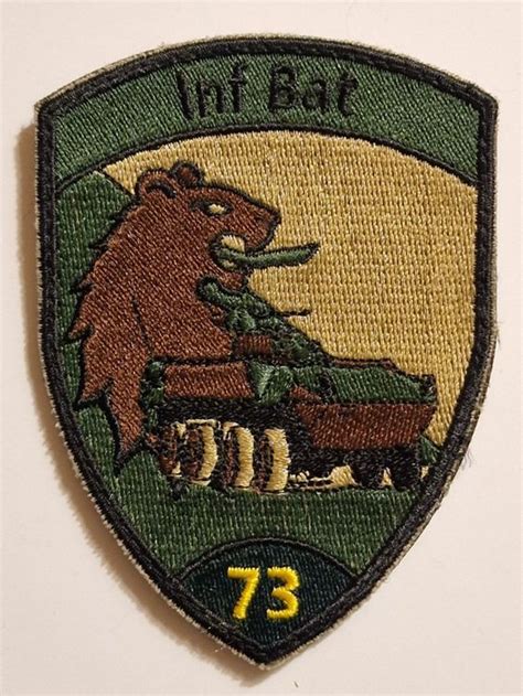 Infanterie Badge Inf Bat Grun Klett Kaufen Auf Ricardo