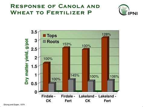 Ppt Phosphorus Nutrition Of Canola Powerpoint Presentation Free