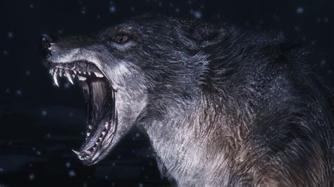 Evil Wolf Wallpapers - Top Free Evil Wolf Backgrounds - WallpaperAccess