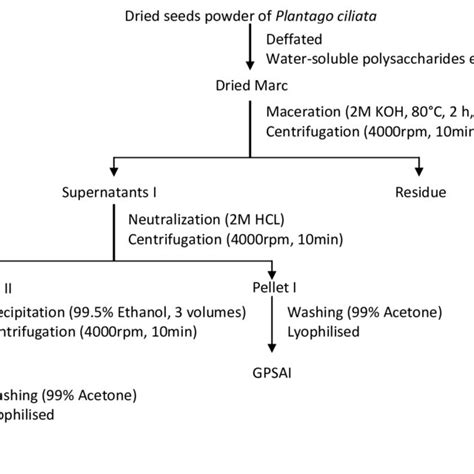 Scheme For Alkali Soluble Polysaccharides Extraction From Plantago Download Scientific Diagram