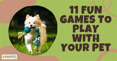 11 Fun Games to Play with Your Pet - Kobi Pets