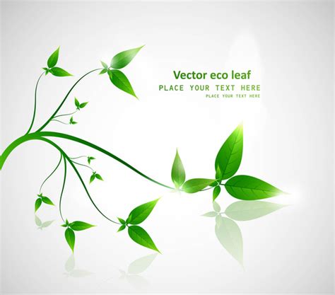 Abstract Shiny Eco Green Lives Reflection Vector Design Vectors Graphic