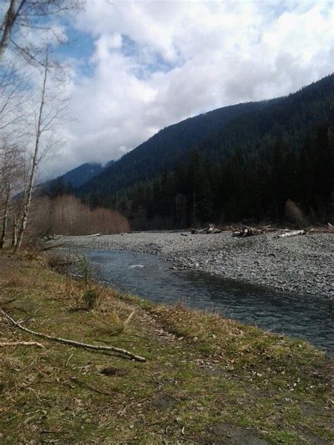 Hoh rainforest Olympic national park Seattle | Olympic national park, National parks, Natural ...