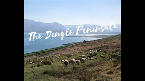 Ireland Things To Do In Dingle Peninsula Ballyseedy Wood Conor Pass