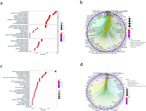 Gene Ontology Go Functional Enrichment And Kyoto Encyclopedia Of