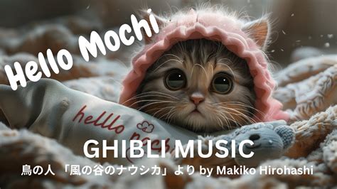 Hello Mochi Witness An Adorable Baby Kitten S Sweet Moment With Ghibli