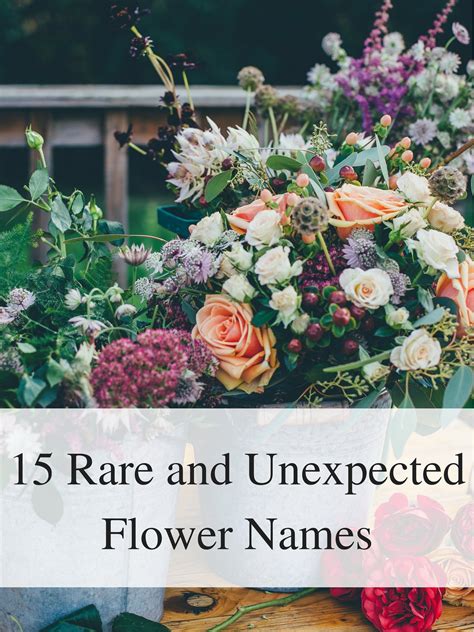 Rare and Unexpected Flower Names - The York Pack | Flower names, Pretty ...