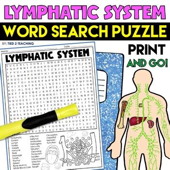 Lymphatic System Word Search Puzzle Human Body Systems Science Word Find