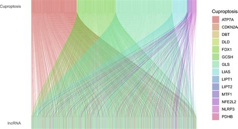 Sankey Diagram Showing The Association Between 1138 Cuproptosis Related