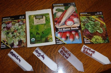 Daniel S Pacific NW Garden Planting Winter Seeds 2 15 17